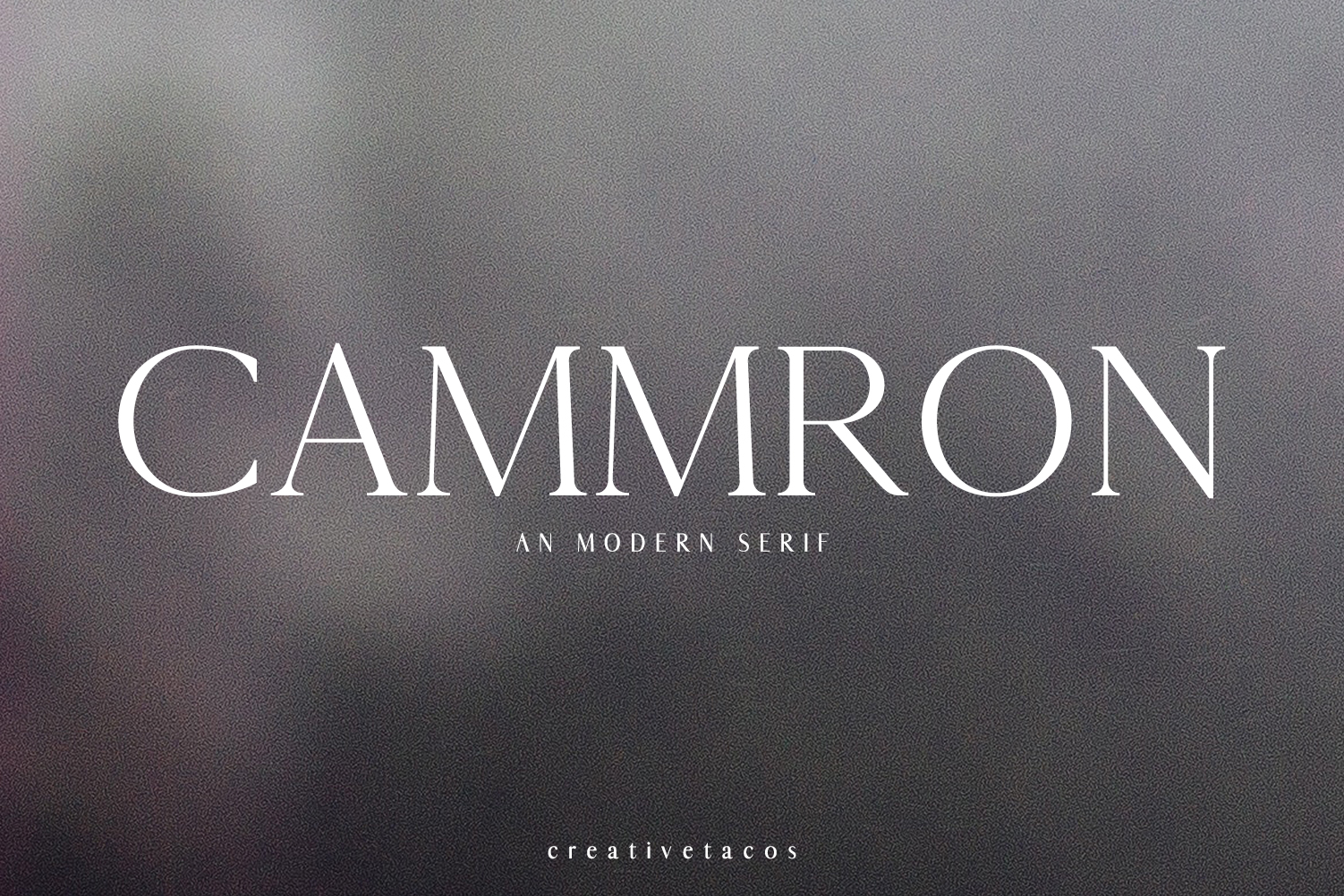 Cammron: The Modern Serif for Dashing Design