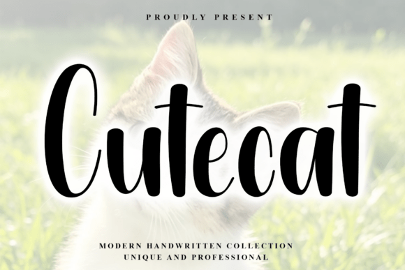 Cutecat: Elevating Modern Design with Crisp Elegance