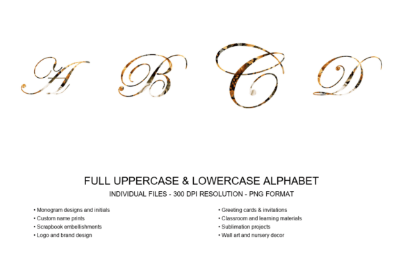 Elegant Typography: The Edwardian Script ITC Font Art Set