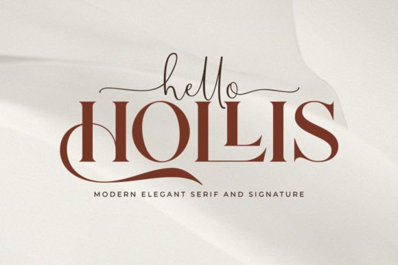 Hello Hollis: The Dynamic Duo for Modern Design