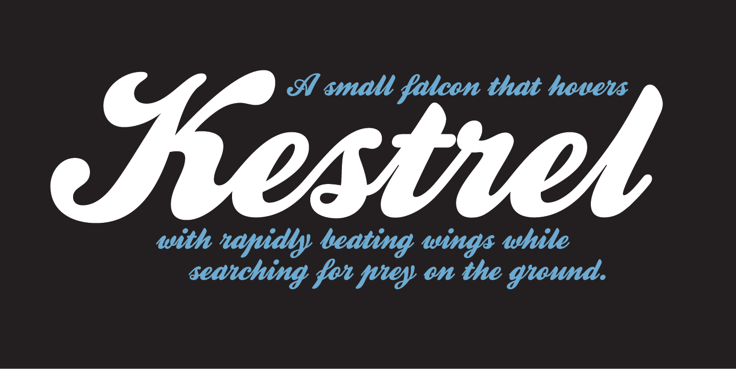 Kestrel Script: A Vintage Typeface for Modern Branding